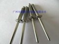 304/316Stainless Steel open end blind rivets 2