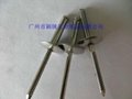 304/316Stainless Steel open end blind rivets 4
