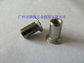 S.S countersunk head rivet nuts