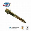 Ss Railway Screw Spike