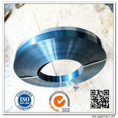 rolling shutter spring steel strips 