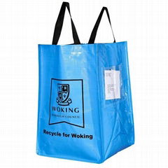 pp woven shopping bag