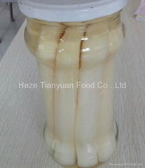 canned  white asparagus  370ml/16cm