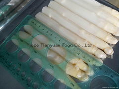 offer canned white asparagus 580/16