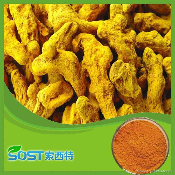 Pure Natural Curcumin95%