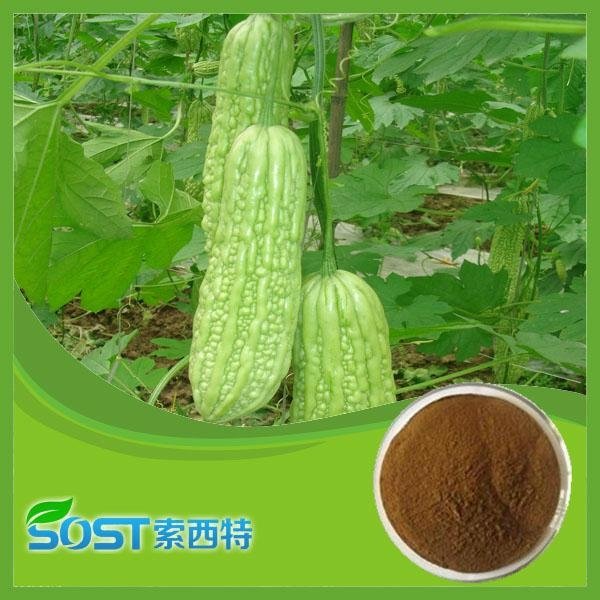 Bitter Melon Extract Momorcharin10% 