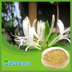 Honey Suckle Flowers Extract powder Chlorogenic acid