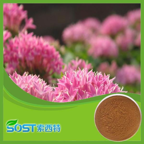 Natural Pure Cosmetic Rhodiola Rosea Powder Extract 