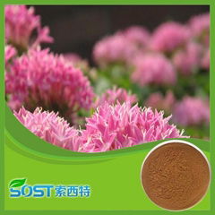 Natural Pure Cosmetic Rhodiola Rosea Powder Extract 