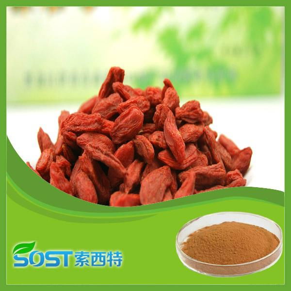 Factory supply extract powder natural Chinese Wolfberry Extract