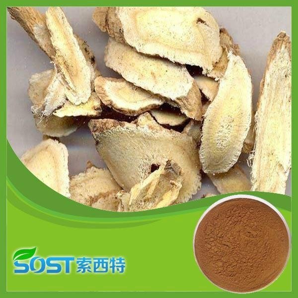 high quality astragalus membranaceus root extract powder