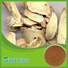 high quality astragalus membranaceus root extract powder