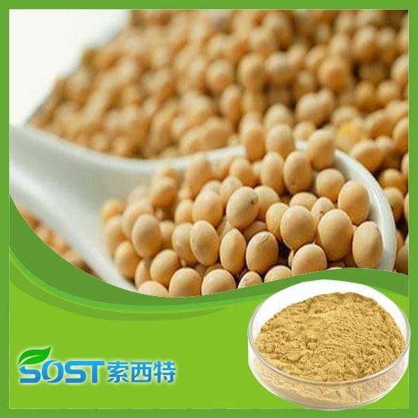 Factory supply Soybean Extract isoflavones20%-40%
