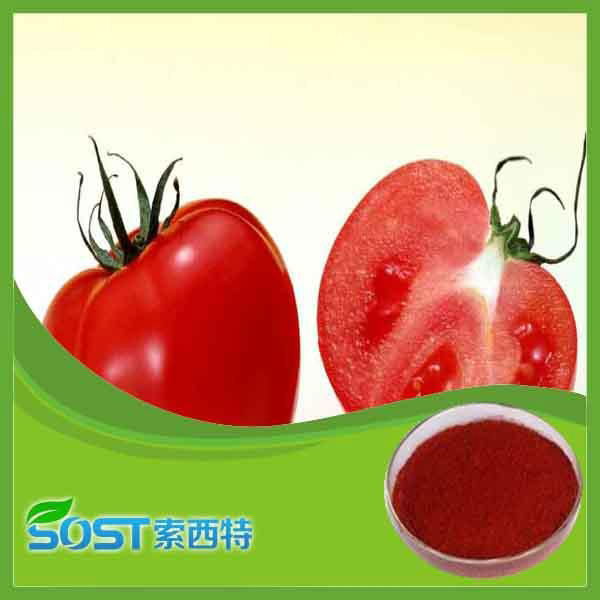 Plant extract 5% tomato extract powder lycopene