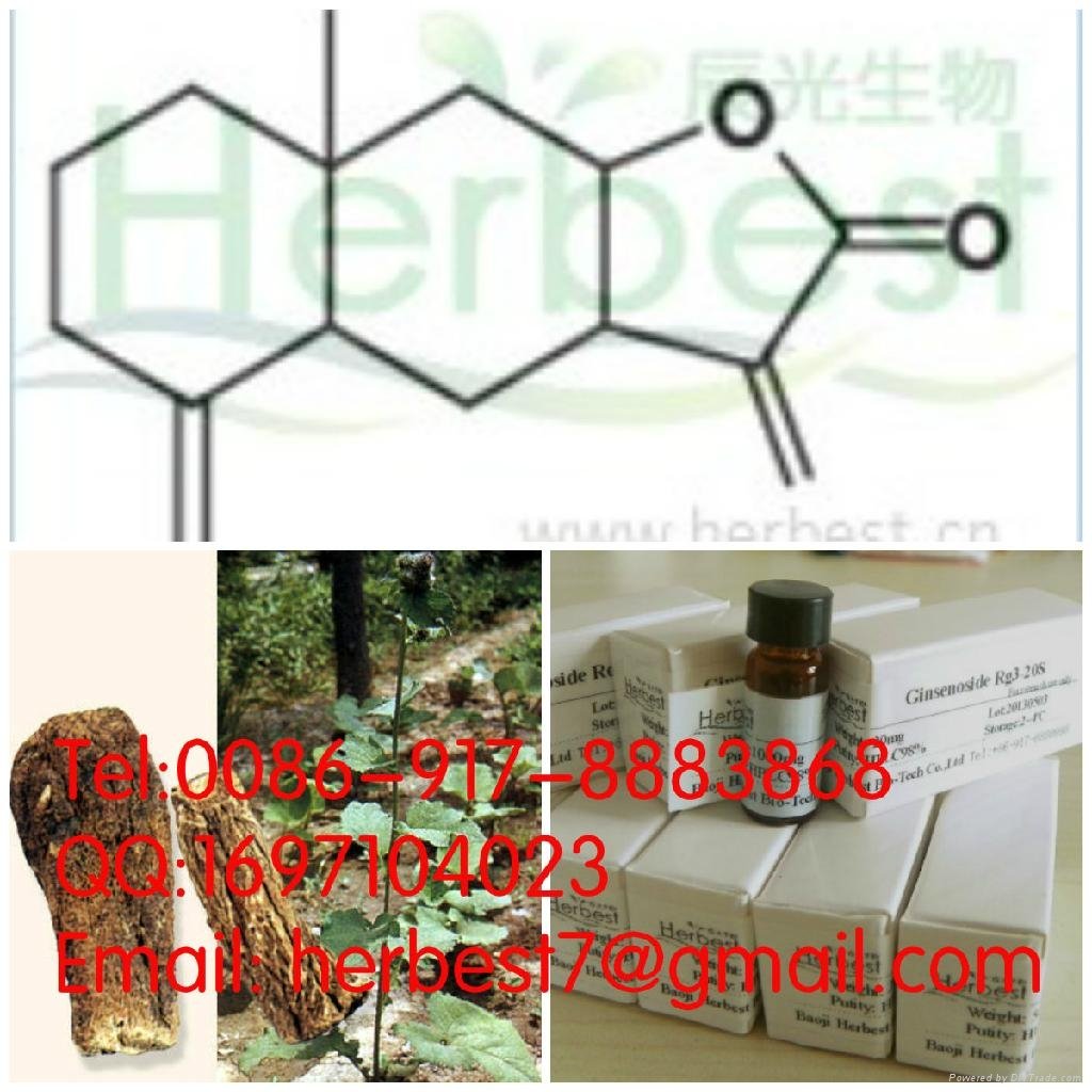 漢防己甲素,粉防己碱 CAS:518-34-3 Tetrandrine  2