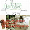 木香烴內酯HPLC>98% C