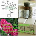 Albiflorin HPLC>98%  39011-90-0  by