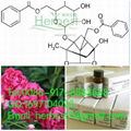 苯甲酰芍藥苷Benzoylpaeoniflorin HPLC>98% 38642-49-8 by HPLC+MS+NMR 1