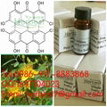 黄芩苷 CAS:21967-41-9 Baicalin