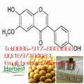 柴胡皂苷A  CAS :20736-09-8 Saikosaponin A  mg-kg供应