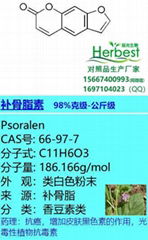 補骨脂素 CAS:66-97-7 Psoralen 20mg-kg提取物