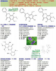 黄芩苷 CAS:21967-41-9 Baicalin