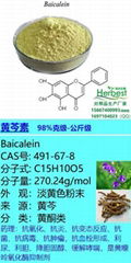 黄芩素 CAS:491-67-8 Baicalein 公斤级