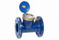 Agriculture Water Meter Bulk Water Meter 1