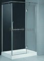 8mm-12mm Shower Door 1