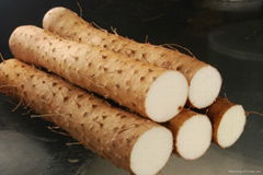 Wild Yam Extract