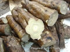 Kudzu Root Extract