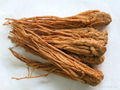 Angelica Extract 1