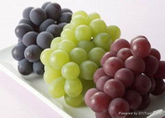 Supply antioxidant product pf Grape Seed