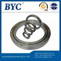 RB19025UUCC0P5 Crossed roller bearing 1