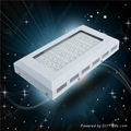 2014 full spectrum JYO144*3W led grow light best for greenhouse grow tent 1