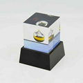 Custom Acrylic Resin Trophy Awards Gifts Crafts