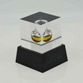Custom Acrylic Resin Trophy Awards Gifts Crafts 4
