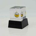 Custom Acrylic Resin Trophy Awards Gifts Crafts 5