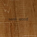 8mm  german  technology  laminate  flooring 1