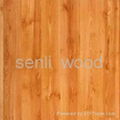 12mm  new  tech  laminate  flooring 1