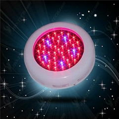 LED grow light