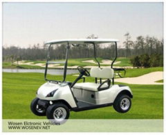 2014 2 seats golf cart 48V/3000W electric golf cart 