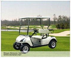 2014 2 seats golf cart 48V/3000W electric golf cart