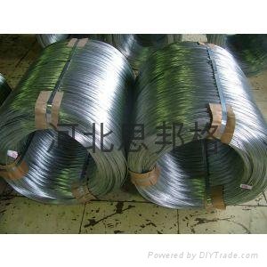 hot dipped galvanized wire 2