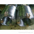 hot dipped galvanized wire 2