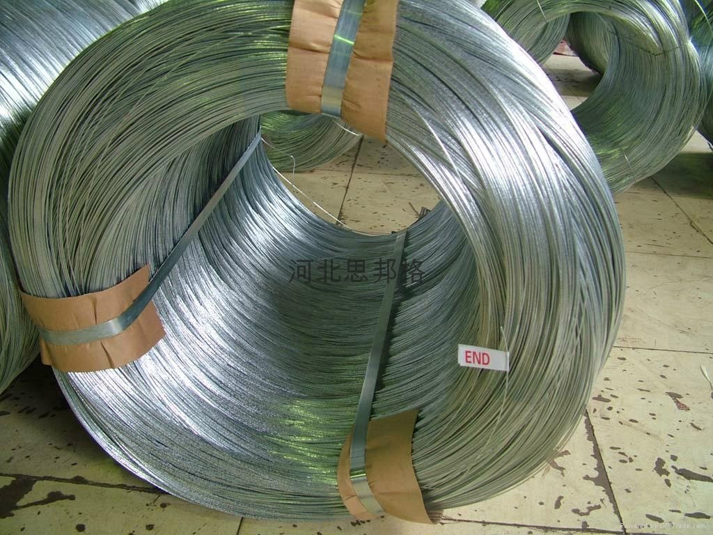 hot dipped galvanized wire 4
