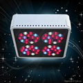 led grow light 4