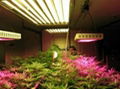 JYO-Apo8 Full Spectrum -brand Hydro LED Grow Light 120*3-watt 1