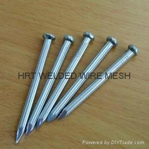 Q195 material common nails 3