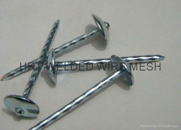 Q195 material common nails 4